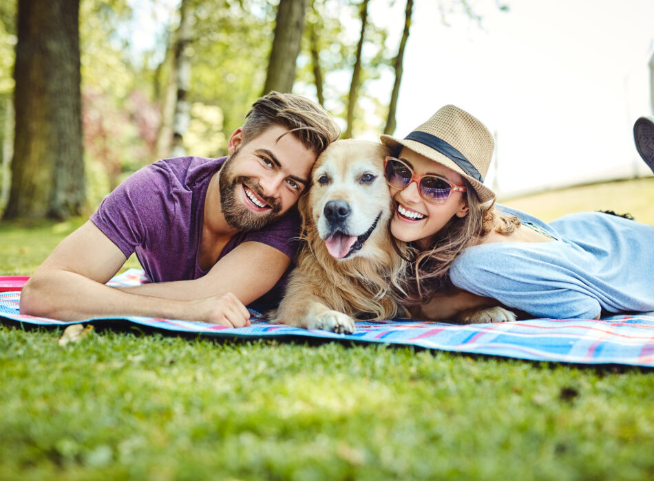 Vrolijk stel op een kleed in het gras met een hond.