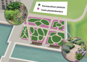 Placemaking Redbadwei